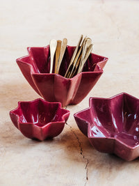 SALADIER ÉTOILE AUBERGINE