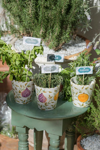 CACHE POT OU VASE · MULTIFRUITS · TUTTI FRUTTI